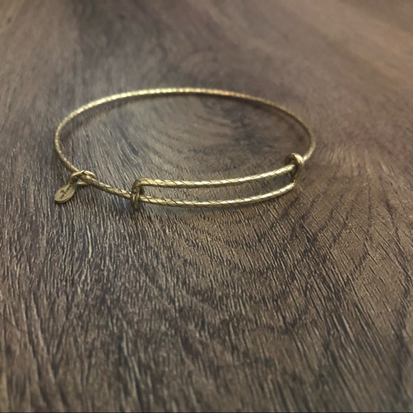 Alex and Ani Bangle - Picture 1 of 3
